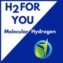 H2 For You logo